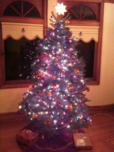 Christmas Tree 2009 Our Christmas Tree